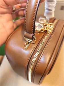 Gu.cci Blondie Top Handle Bag Brown Leather 744434