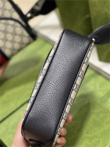 gu.cci ophidia gg small shoulder bag gg S*p*e canvas 722117