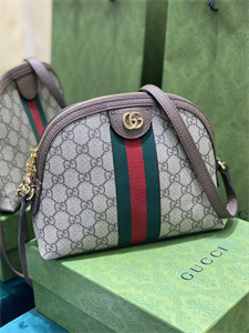 gu.cci ophidia gg small shoulder bag S*p*e canvas 499621