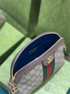 gu.cci ophidia gg small shoulder bag S*p*e canvas 499621