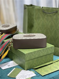 gu.cci neo vintage gg S*p*e messenger bag 476466