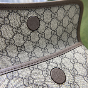 gu.cci neo vintage S*p*e belt bag 493930