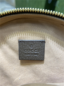 Gu.cci Ophidia GG Mini Round Shoulder Bag 550618