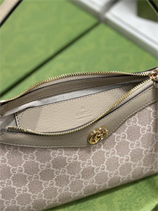 gu.cci ophidia gg small handbag S*p*e canvas 735145