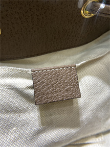 Gu.cci Ophidia GG Small Bucket Bag 550621