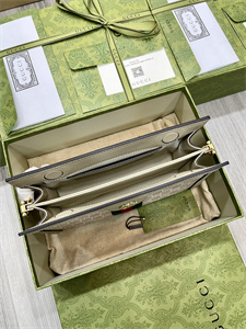 gu.cci ophidia gg small shoulder bag S*p*e canvas 503877