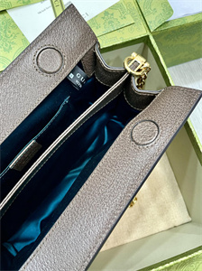 gu.cci ophidia gg small shoulder bag S*p*e canvas 503877