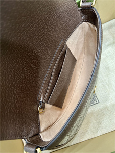 gu.cci ophidia mini shoulder bag S*p*e canvas 757309