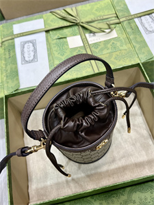 Gu.cci Ophidia GG Mini Bucket Bag 760199