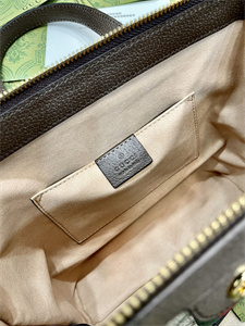 gu.cci ophidia gg small tote bag gg S*p*e canvas 547551