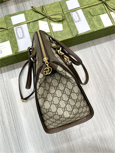 Gu.cci Ophidia GG Medium Tote Bag 524537