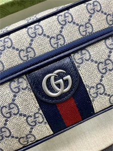 gu.cci ophidia mini bag gg S*p*e canvas 722557