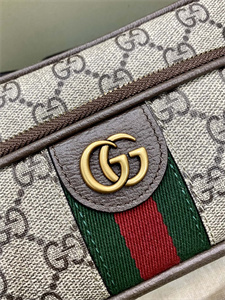 gu.cci ophidia mini bag gg S*p*e canvas 722557