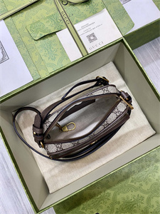 gu.cci ophidia mini bag gg S*p*e canvas 722557