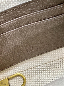 gu.cci ophidia mini bag gg S*p*e canvas 722557