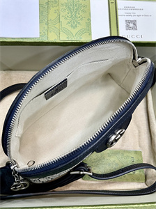 gu.cci ophidia gg small shoulder bag S*p*e canvas 499621