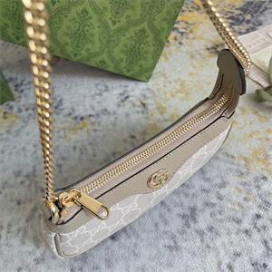 gu.cci ophidia mini bag gg S*p*e canvas 764960