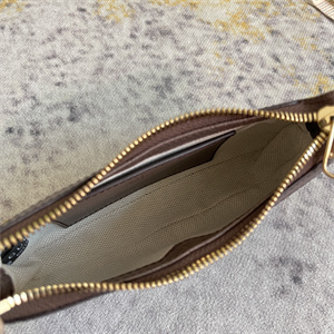 gu.cci ophidia mini bag gg S*p*e canvas 764960