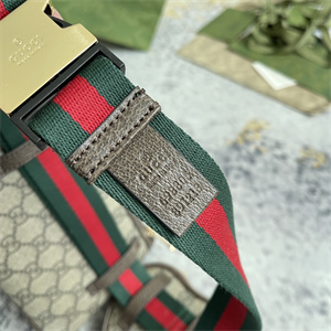 Gu.cci Ophidia GG Heart Utility Belt Bag 698805