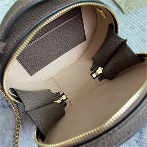 gu.cci ophidia mini chain top handle bag gg S*p*e canvas 725147