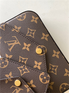 L.V Felicie Pochette Strap & Go Monogran Canvas M80091