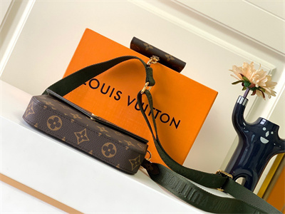 L.V Felicie Pochette Strap & Go Monogran Canvas M80091