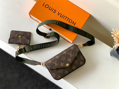 L.V Felicie Pochette Strap & Go Monogran Canvas M80091