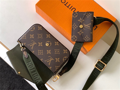 L.V Felicie Pochette Strap & Go Monogran Canvas M80091