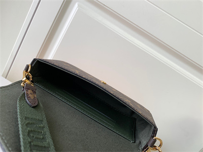 L.V Felicie Pochette Strap & Go Monogran Canvas M80091