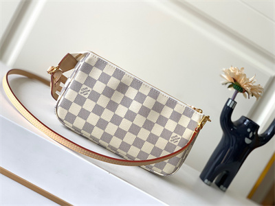 L.V Pochette Accessories Damier Azur N41207