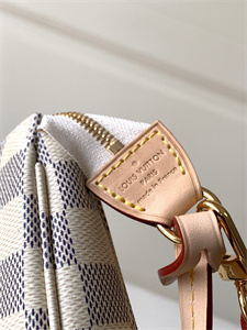 L.V Pochette Accessories Damier Azur N41207