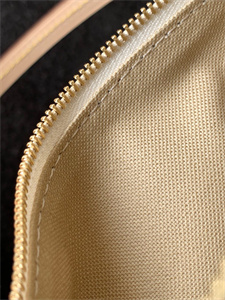 L.V Pochette Accessories Damier Azur N41207