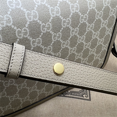 G*u*i horsebit 1955 shoulder bag gg canvas  602204