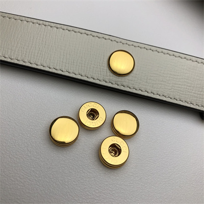 G*u*i horsebit 1955 shoulder bag gg canvas 602204