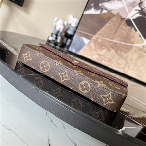 L.V Felicie Pochette Monogram Canvas Chain M61276
