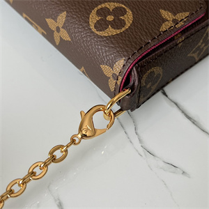 L.V Felicie Pochette Monogram Canvas Chain M61276