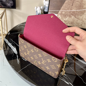 L.V Felicie Pochette Monogram Canvas Chain M61276