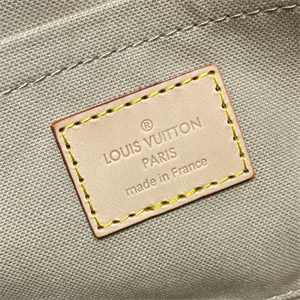 L.V Favorite MM Bag Damier Azur N41275