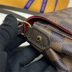 L.V Favorite PM Bag Damier Ebene N41276