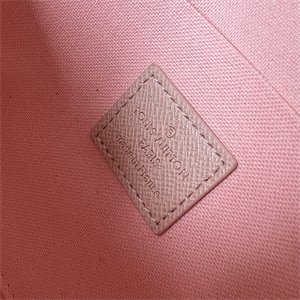 L.V Felicie Pochette Damier Azur Chain N63106