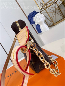L.V Pochette Accessories Monogram Canvas M82766