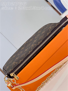 L.V Pochette Accessories Monogram Canvas M82766