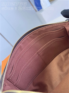 L.V Pochette Accessories Monogram Canvas M82766