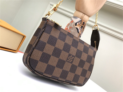 L.V Mini Pochette Accessories Damier Ebene N58010