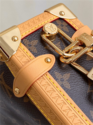 LV Side Trunk MM Monogram Canvas M46358