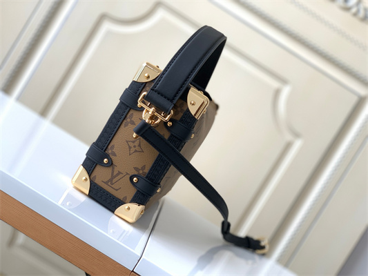 LV Side Trunk MM Reverse Monogram Canvas M46358