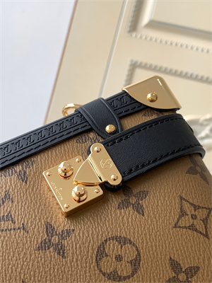 LV Side Trunk MM Reverse Monogram Canvas M46358