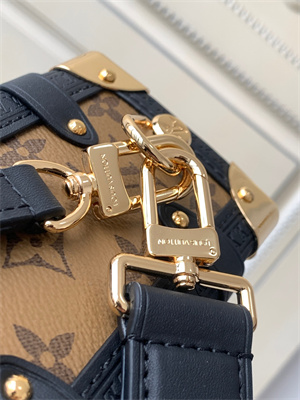 LV Side Trunk MM Reverse Monogram Canvas M46358