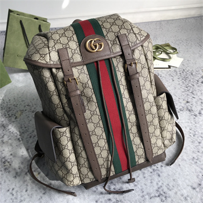 Gu.cci Ophidia GG Medium Backpack 598140