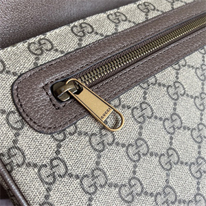 Gu.cci Ophidia Messenger Bag 761741